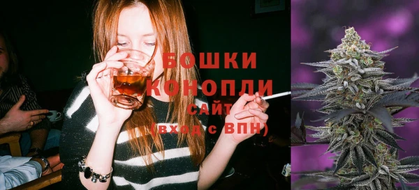 твердый Богданович