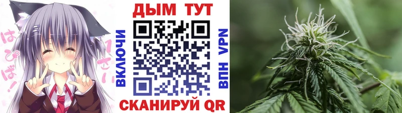 Каннабис индика Томск